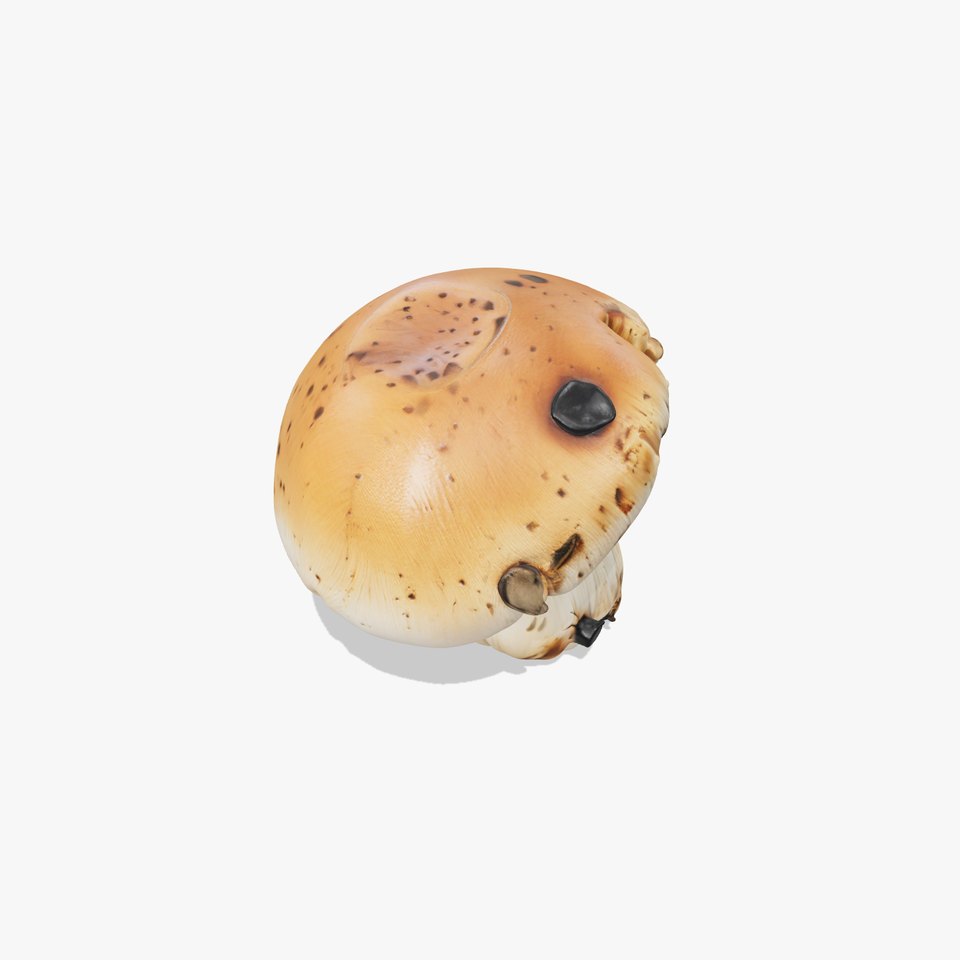 Realistic Damaged Boletus Mushroom model pack