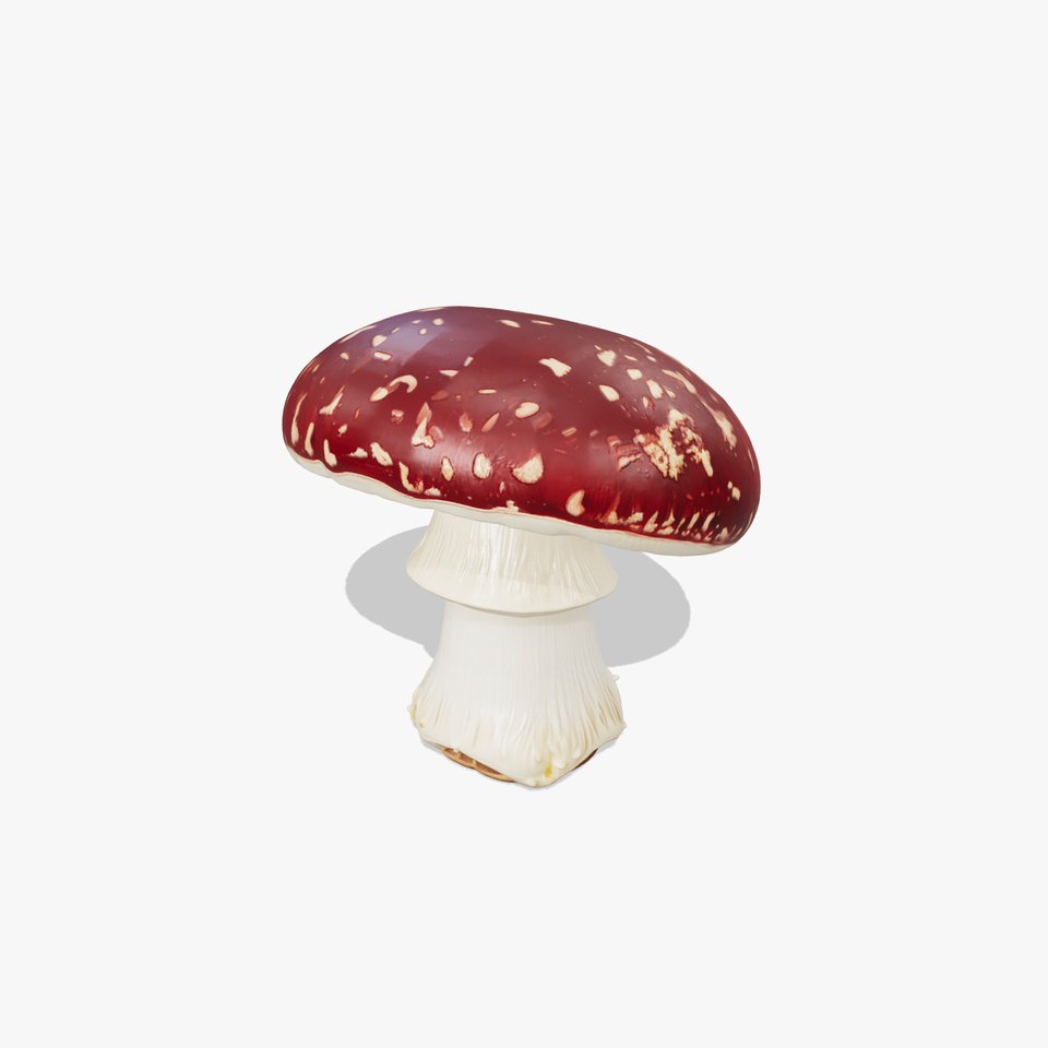 Textured Red-Cap Mushroom model pack
