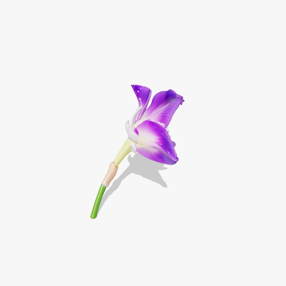 Purple Narcissus Flower model pack