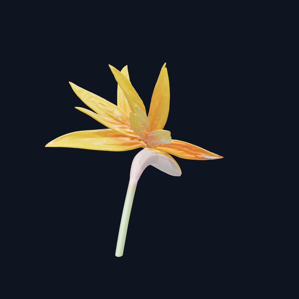Yellow Strelitzia Flower 3D Model Pack