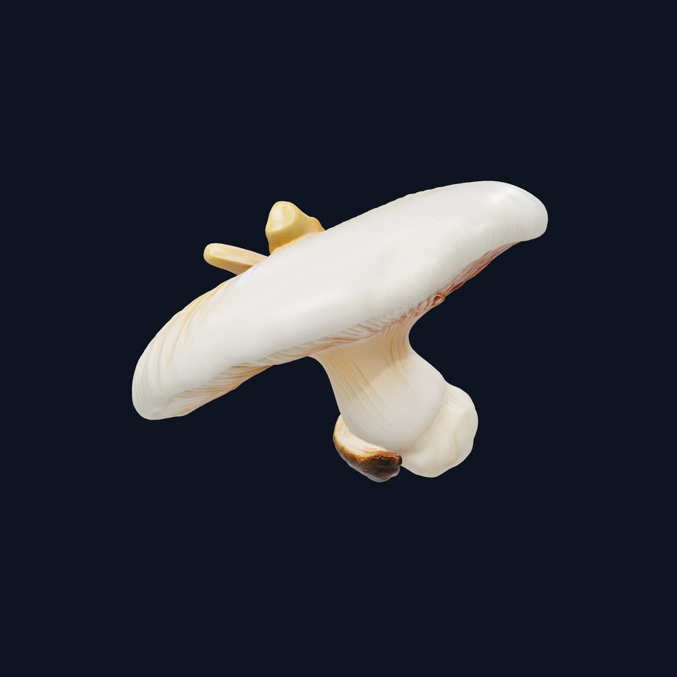 Meadow Mushroom Realistic Sculpture model pack