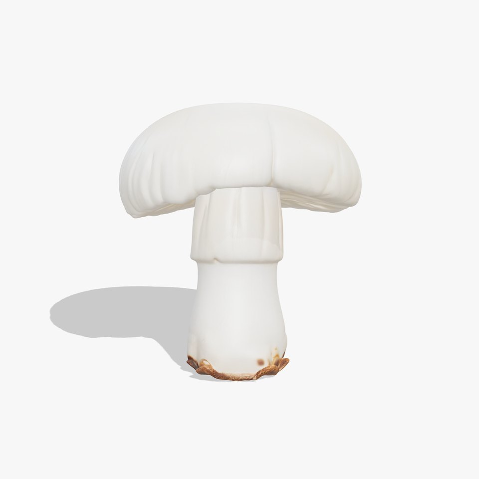 Young Mushroom Realistic model pack