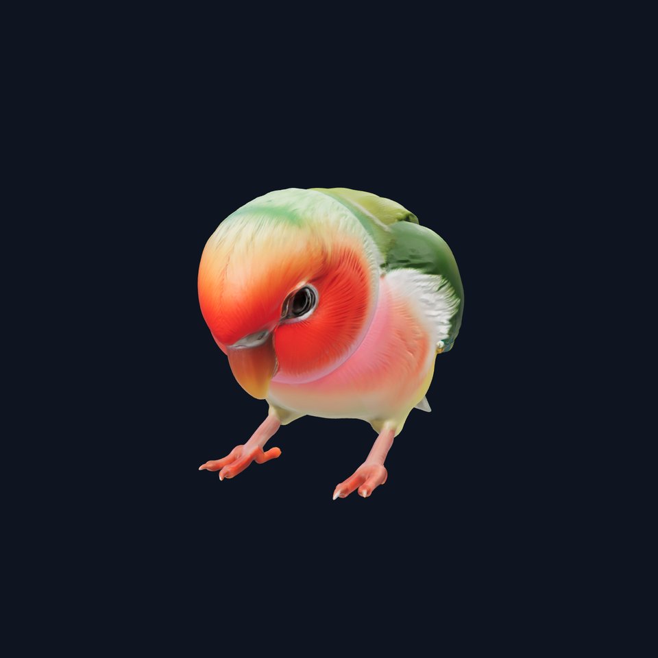 Vibrant Lovebird Detailed Sculpture Model Pack