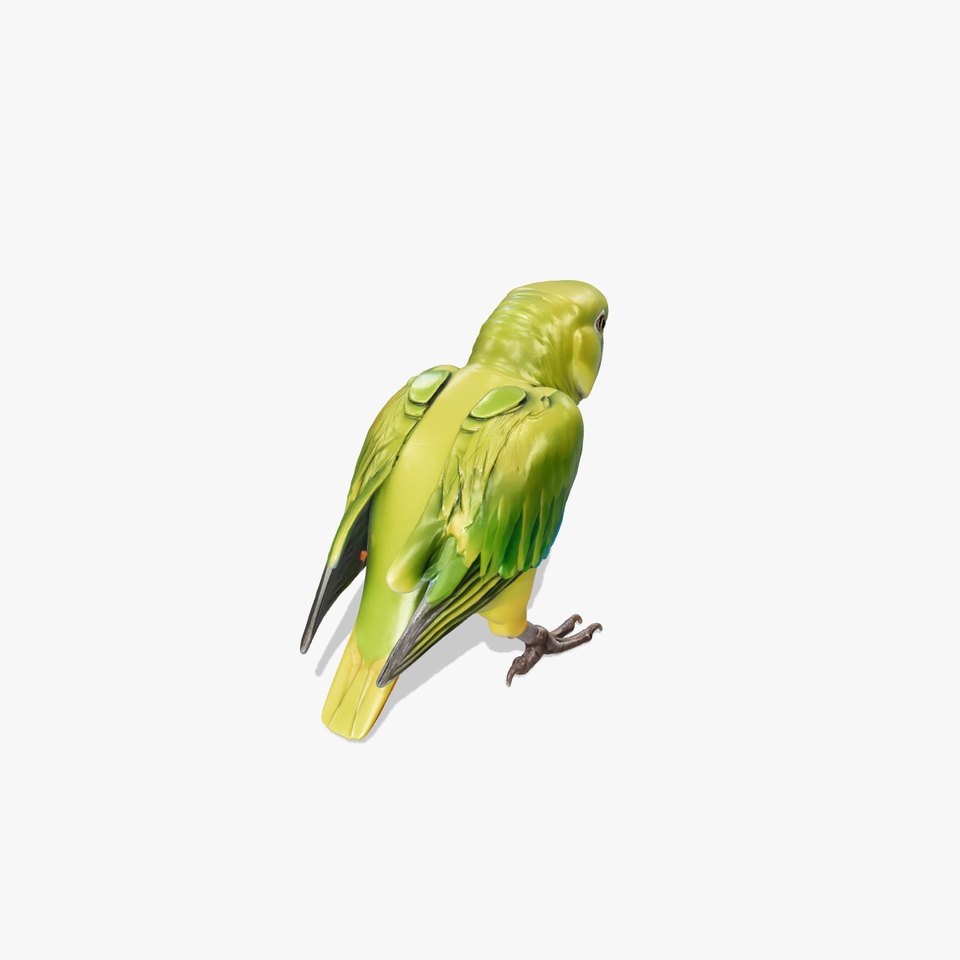 Amazon Parrot Realistic Bird 3D Model Pack