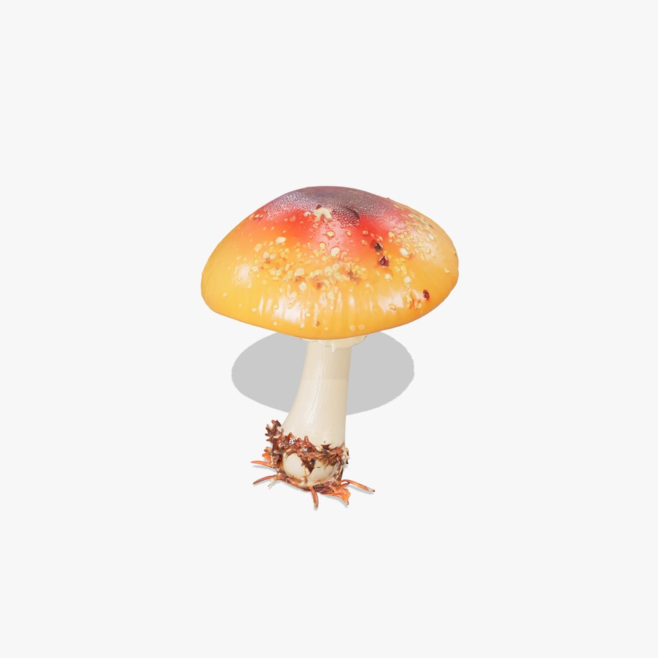 Chanterelle Mushroom Realistic Model Pack