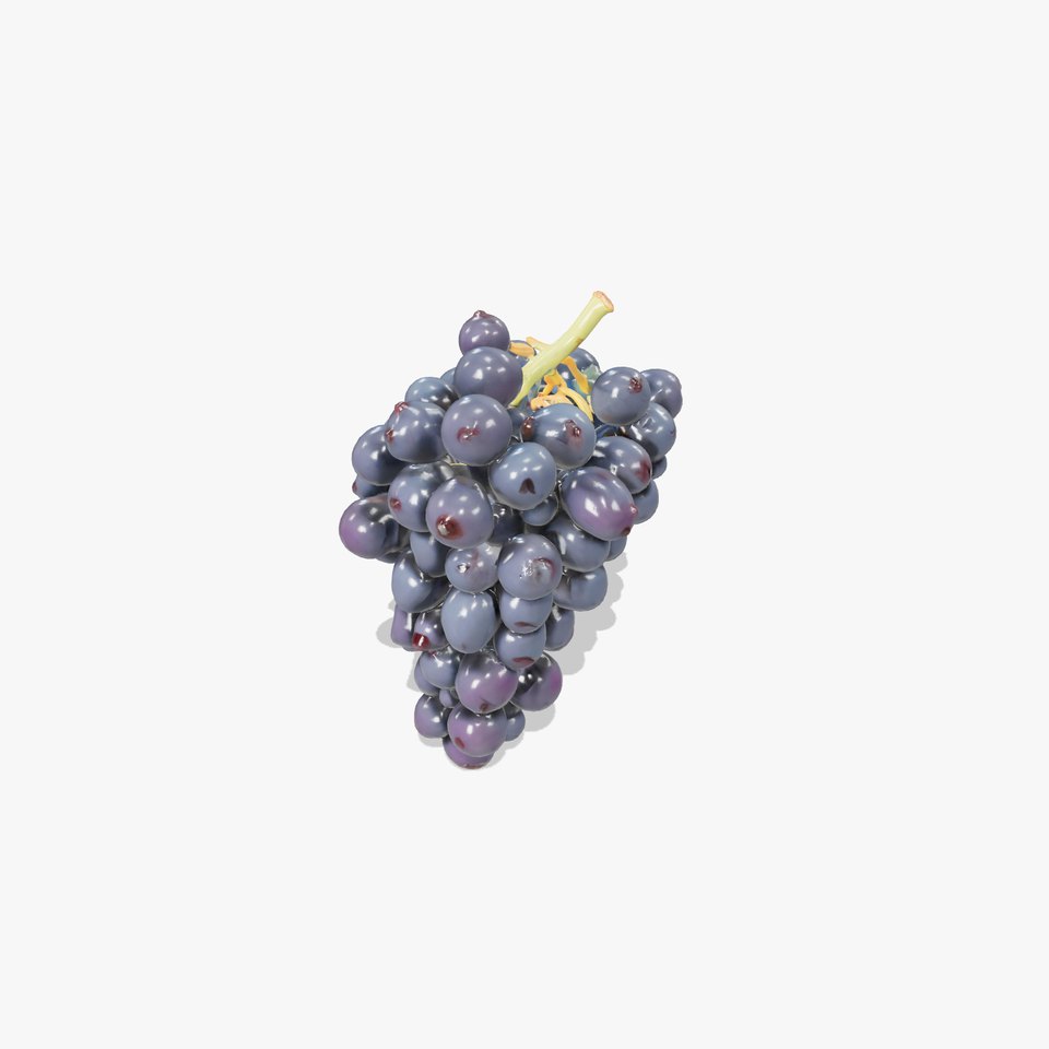 Elegant Black Grape Bunch model pack