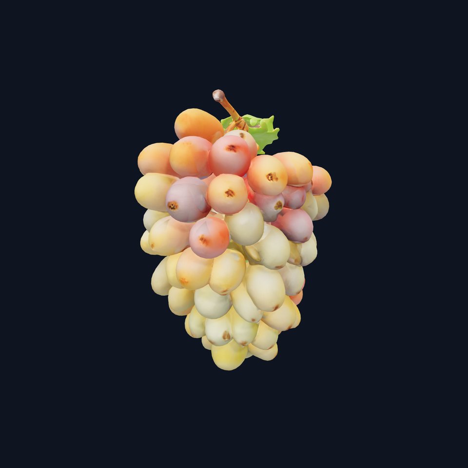 Unripe Grape Bunch Realistic 3D Model Pack