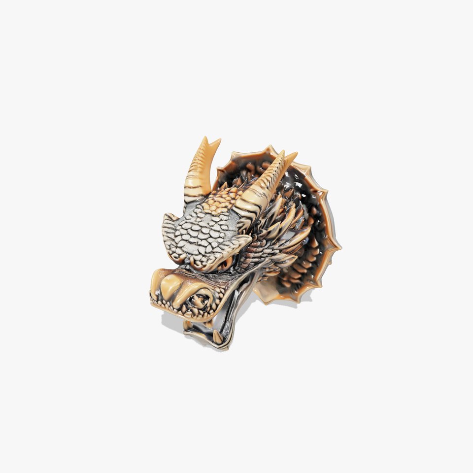 Bronze Dragon Head Door Handle Sculpture model pack