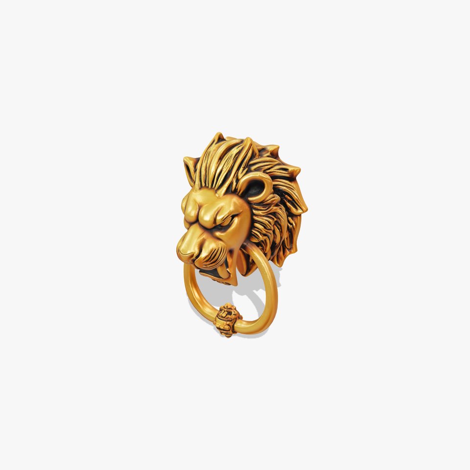 Malevolent Lion Head Door Knocker Bronze model pack