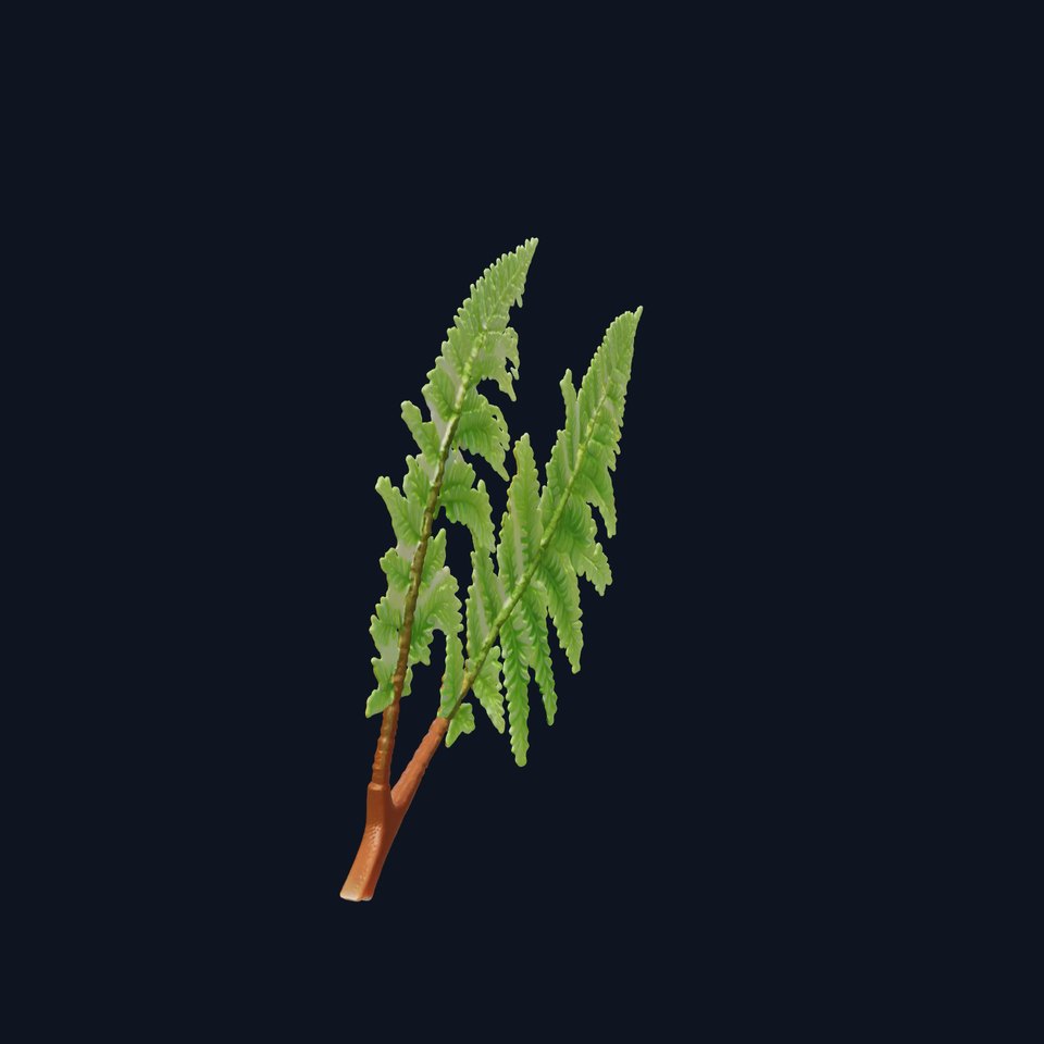 Detailed Asplenium Fern Foliage D Model Pack