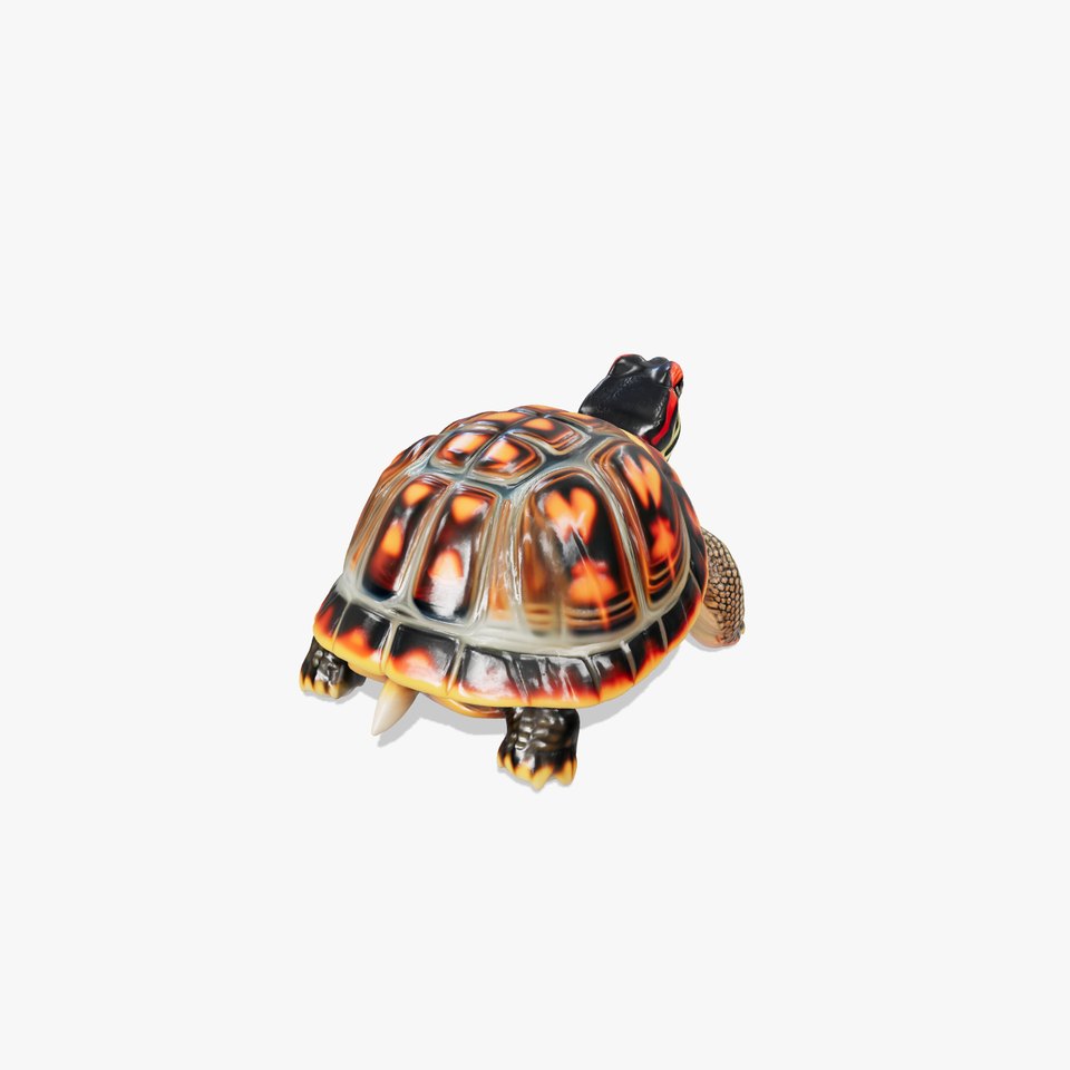 RedEared Slider Turtle Detailed Model Pack