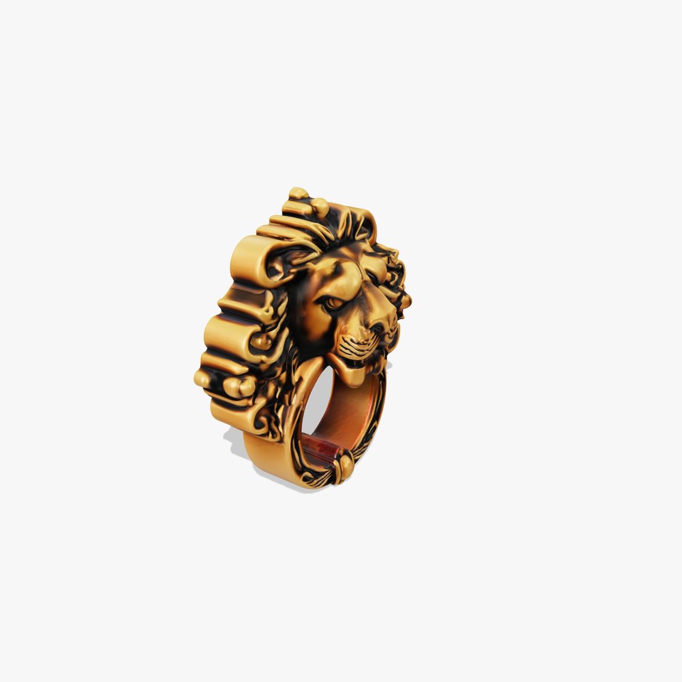 Lion Head Castle Door Knocker Model Pack