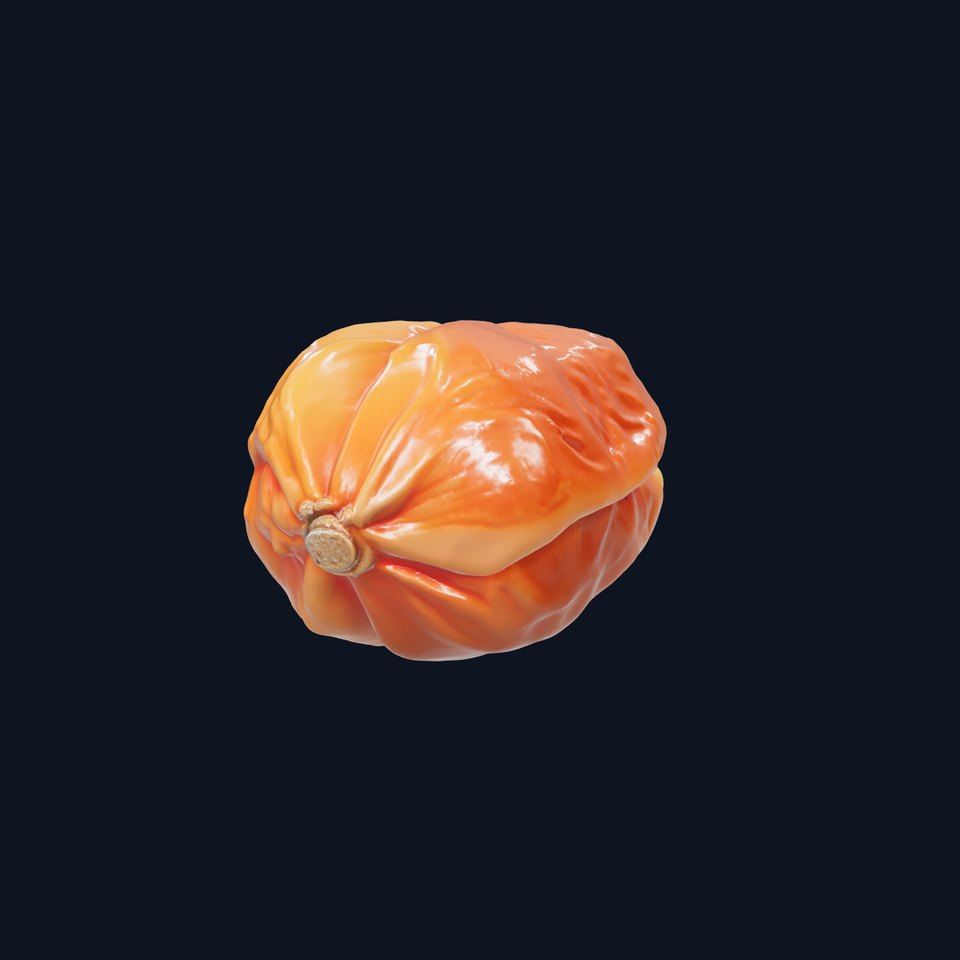 Dried Date Fruit Detailed Model Pack