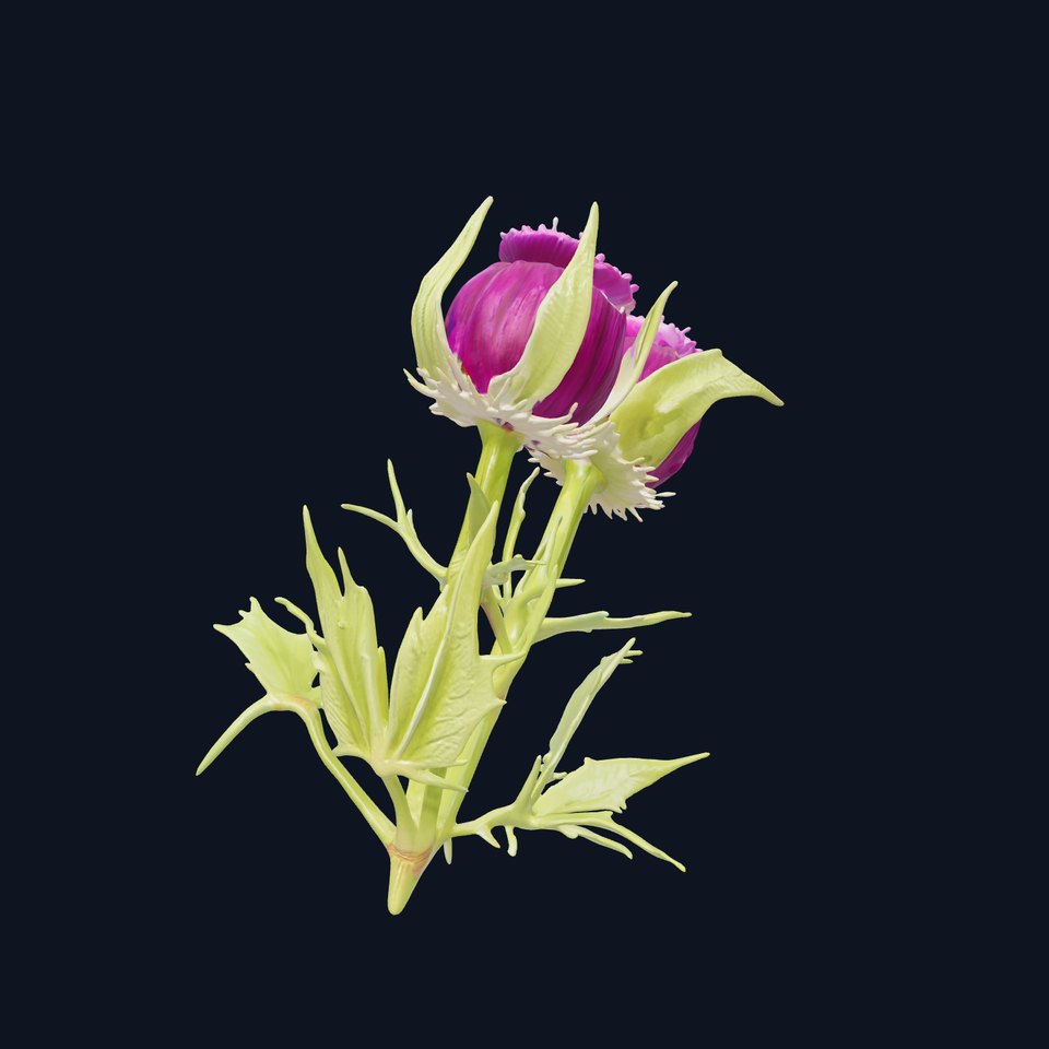 Thistle Leaves Detailed Nature model pack