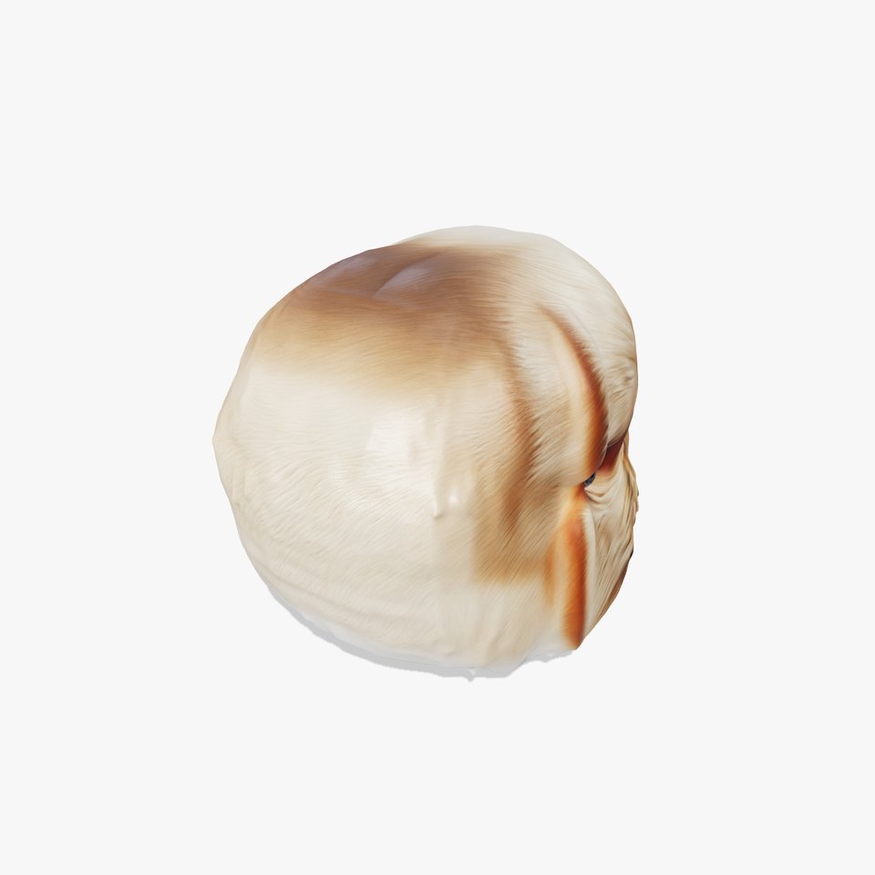 Inuit Fur Hat Natural Texture Model Pack