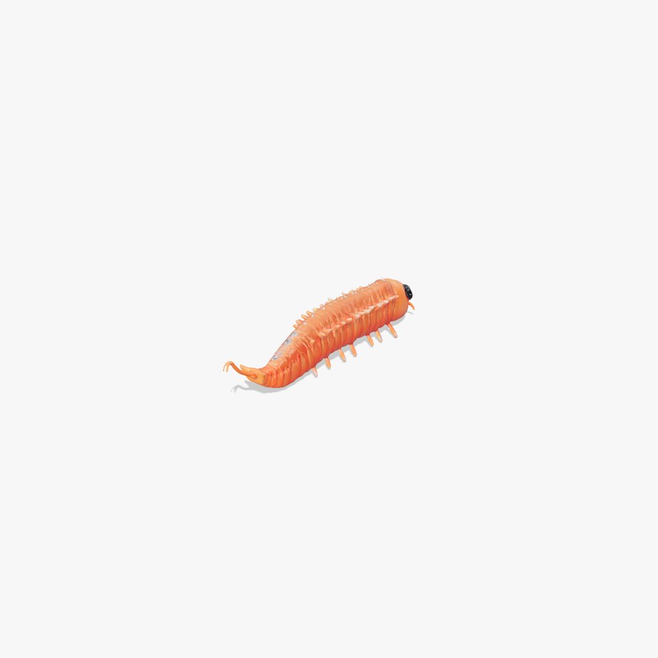 Cartoon Centipede Model Pack with Detailed Textures