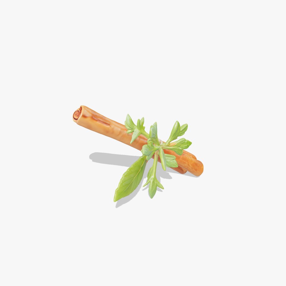 Cinnamon Stick with Herbs Model Pack
