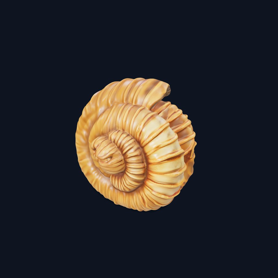 Fossilized Ammonite Model Pack for Interactive Environments