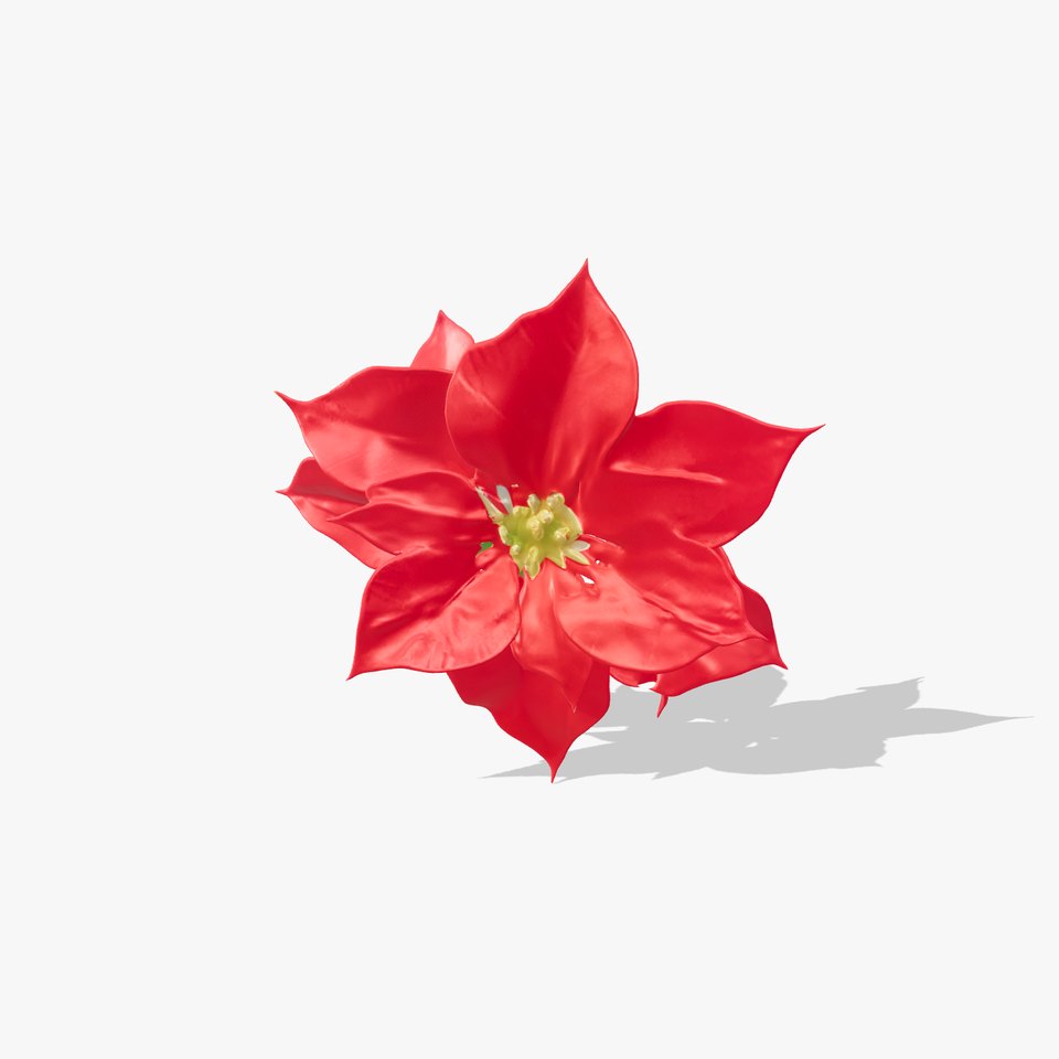 Poinsettia D Model Pack
