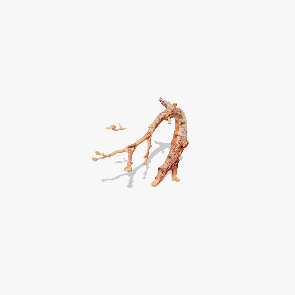 Realistic Tree Branch Model Pack for Environment Design