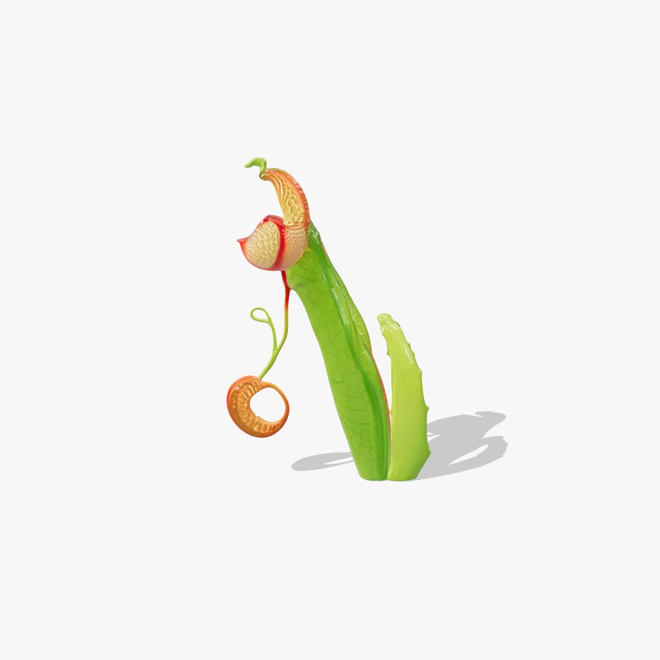 Exotic Pitcher Plant Model Pack