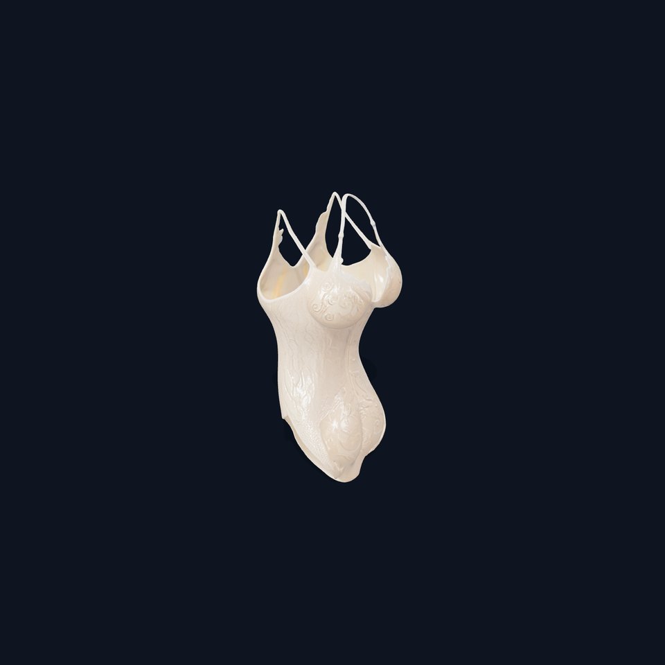 Elegant Lace Bodysuit D Model Pack