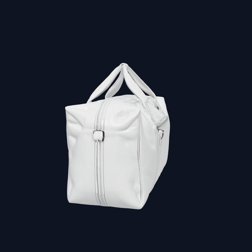 Travel Bag D Model Pack with PBR Textures