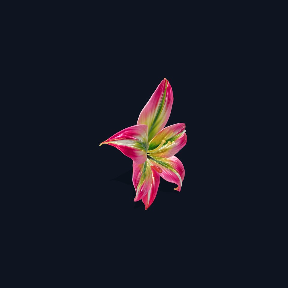 Vibrant Flower Model Pack with Detailed Petals