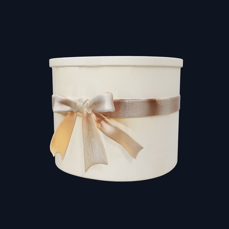 Elegant Gift Box with Ribbon model pack