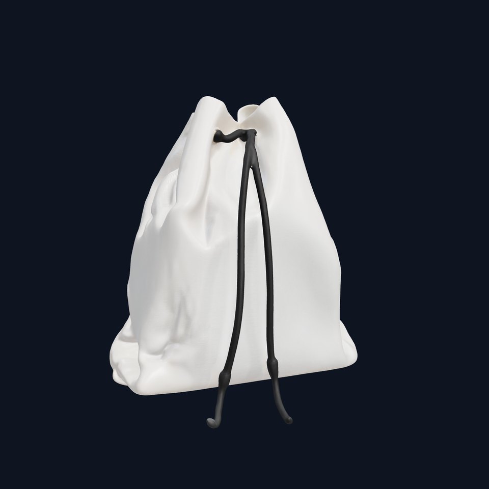 Stylish Drawstring Backpack Model Pack