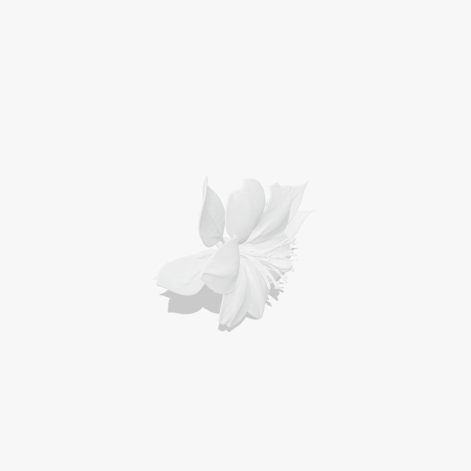 Realistic Hibiscus Flower Model Pack for D Rendering and Animation