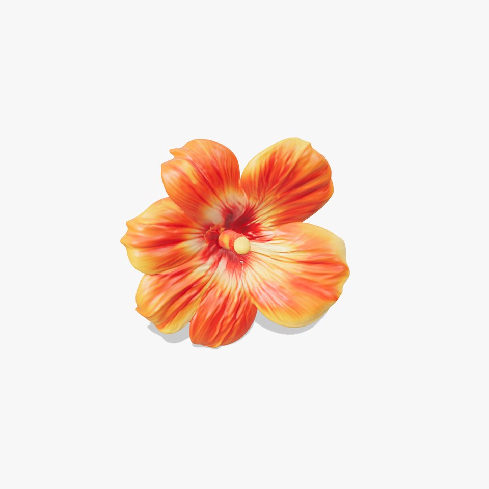 Vibrant Orange Flower Model Pack