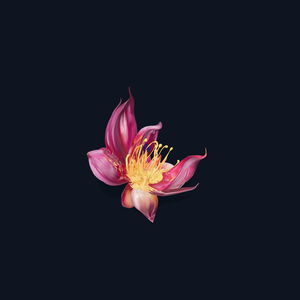 Exotic Flower Model Pack with PBR Textures