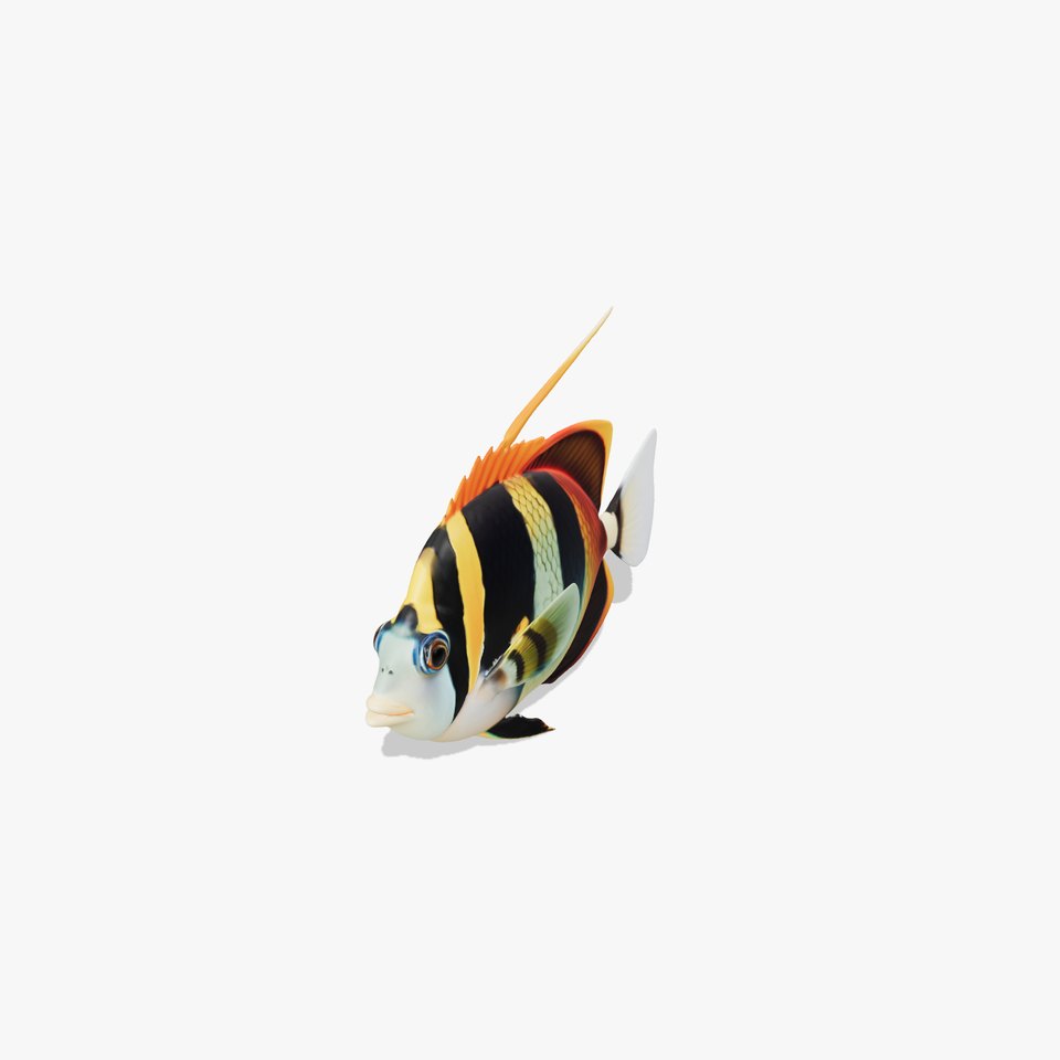 Tropical Fish Model Pack for Animation and Games