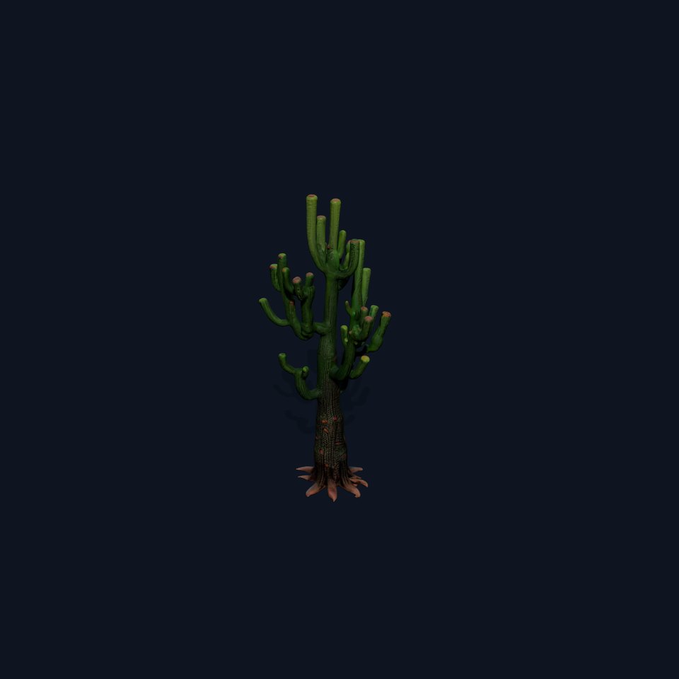 Realistic Cactus D Model Pack