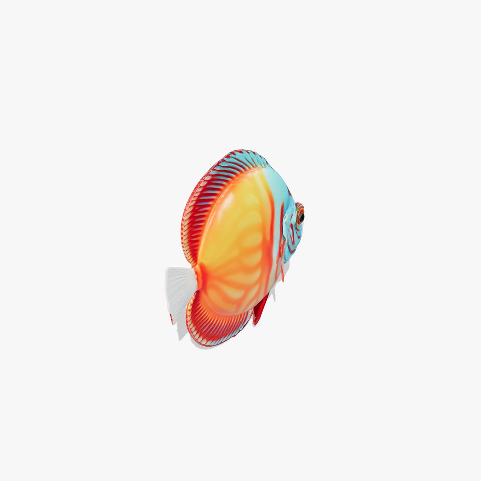 Vibrant Tropical Fish Model Pack for Aquatic Scenes