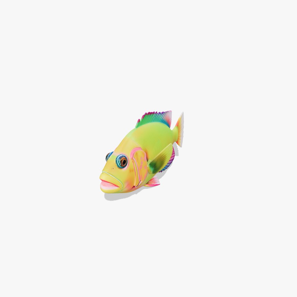 Colorful Tropical Fish D Model Pack