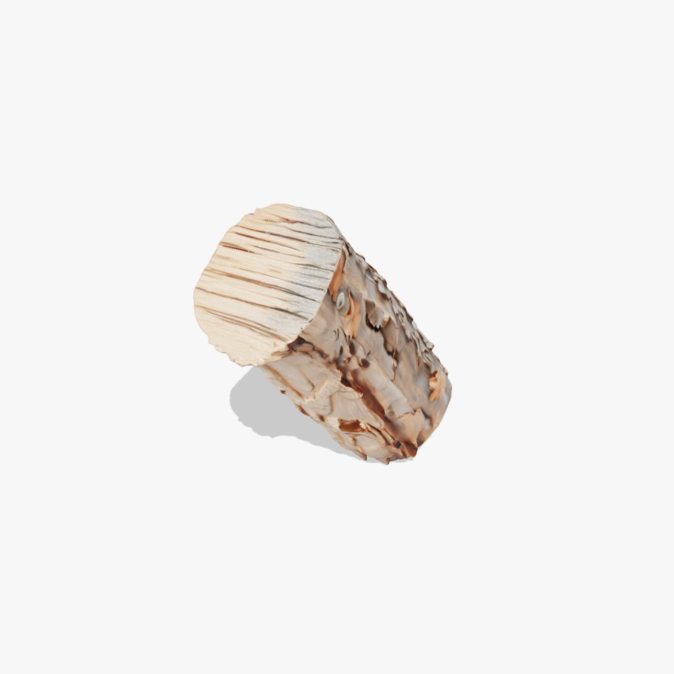 Realistic Bark Texture Model Pack for Environment Design