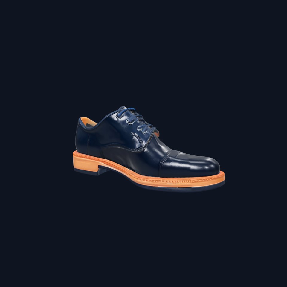 Elegant Leather Oxford Shoes Model Pack