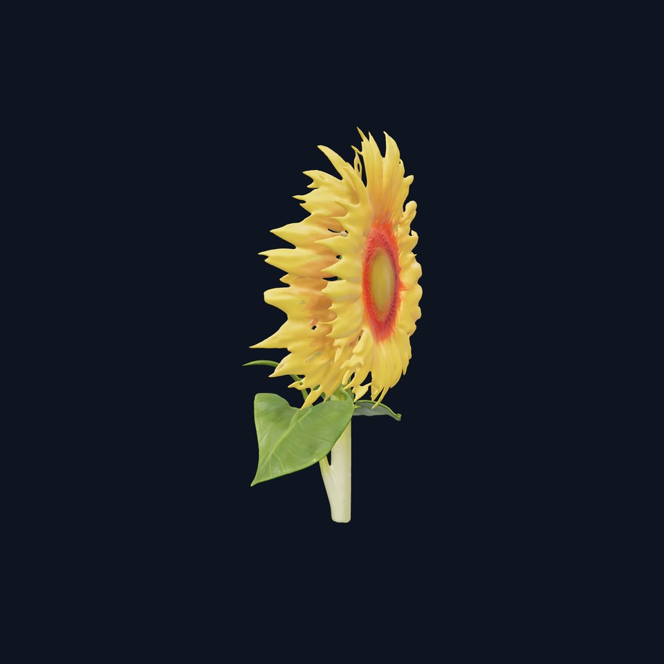 Sunflower Model Pack with Realistic Textures