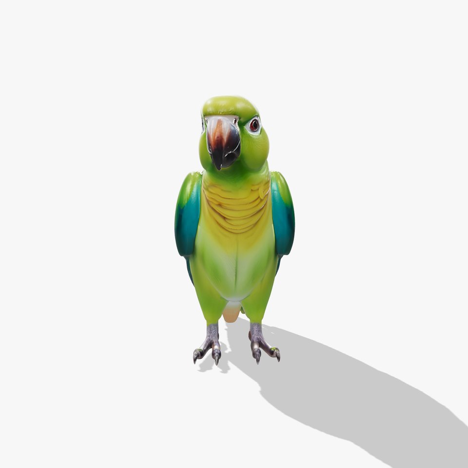 Vibrant Parrot D Model Pack
