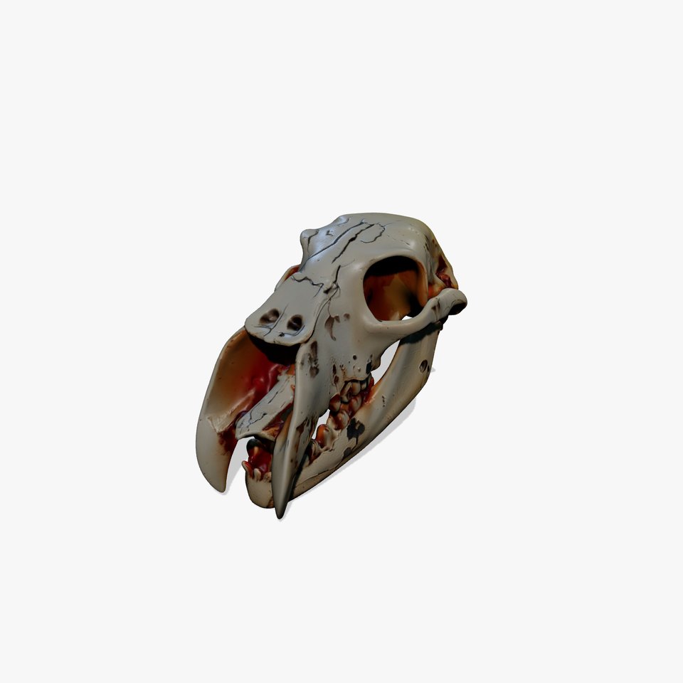 Animal Skull Model Pack with High Detail and PBR Textures