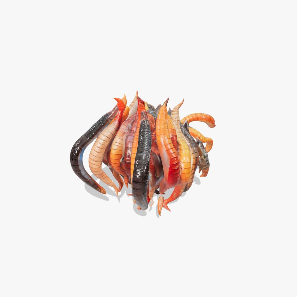 Realistic Worm Model Pack for Detailed Rendering