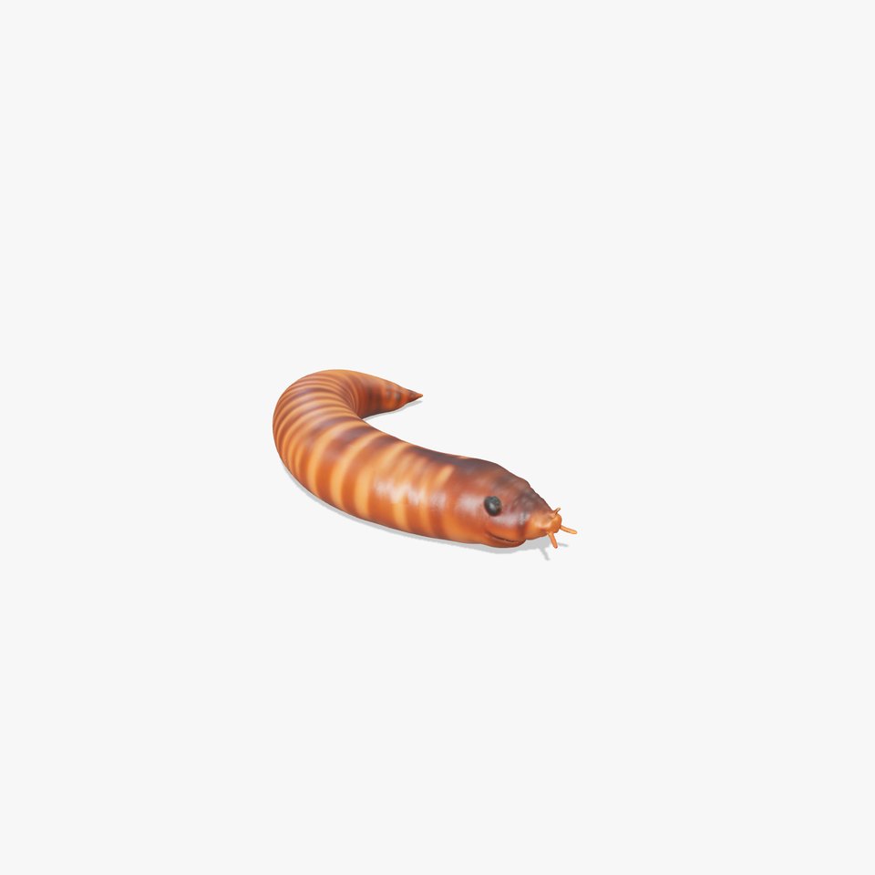 Realistic Millipede Model Pack for Rendering and Games