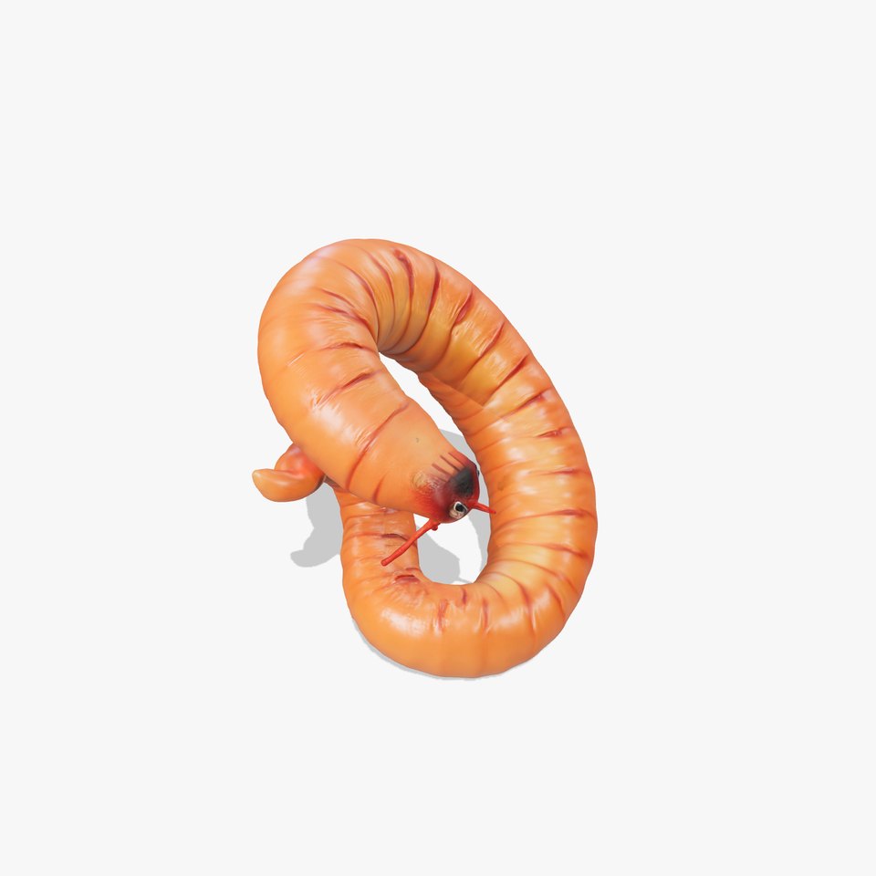 Curled Redworm D Model Pack