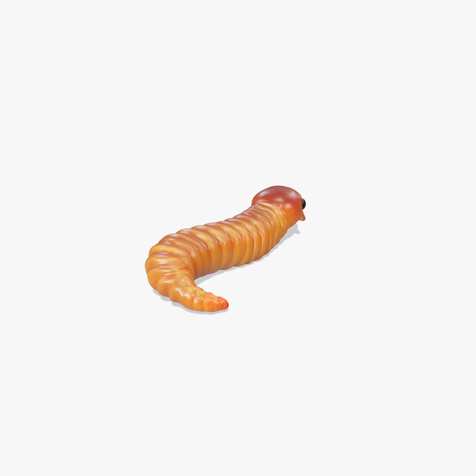 Realistic Worm Model Pack   Levels of Detail