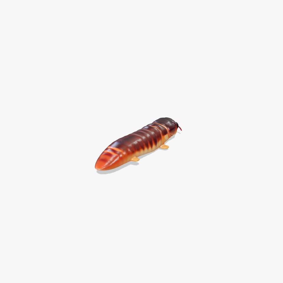 Realistic Centipede D Model Pack