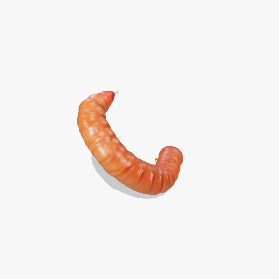 Realistic Centipede Model Pack for D Applications