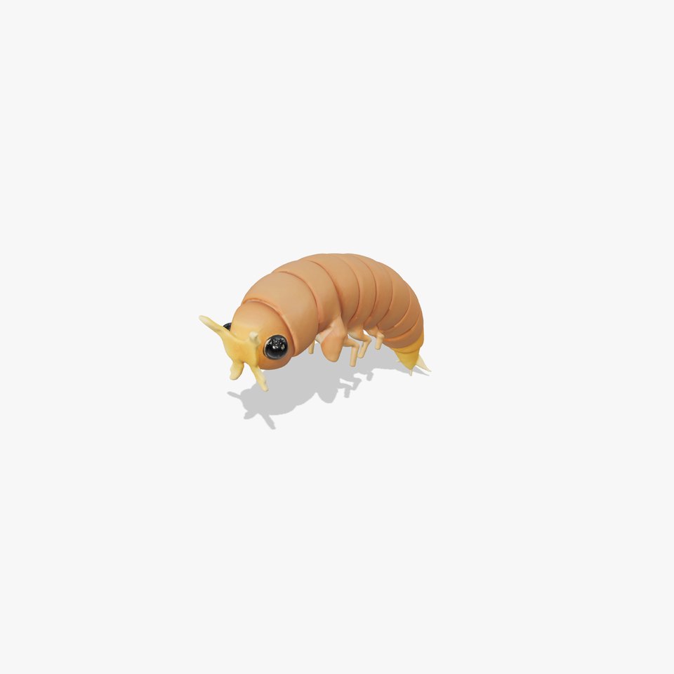 Detailed Insect Larva Model Pack