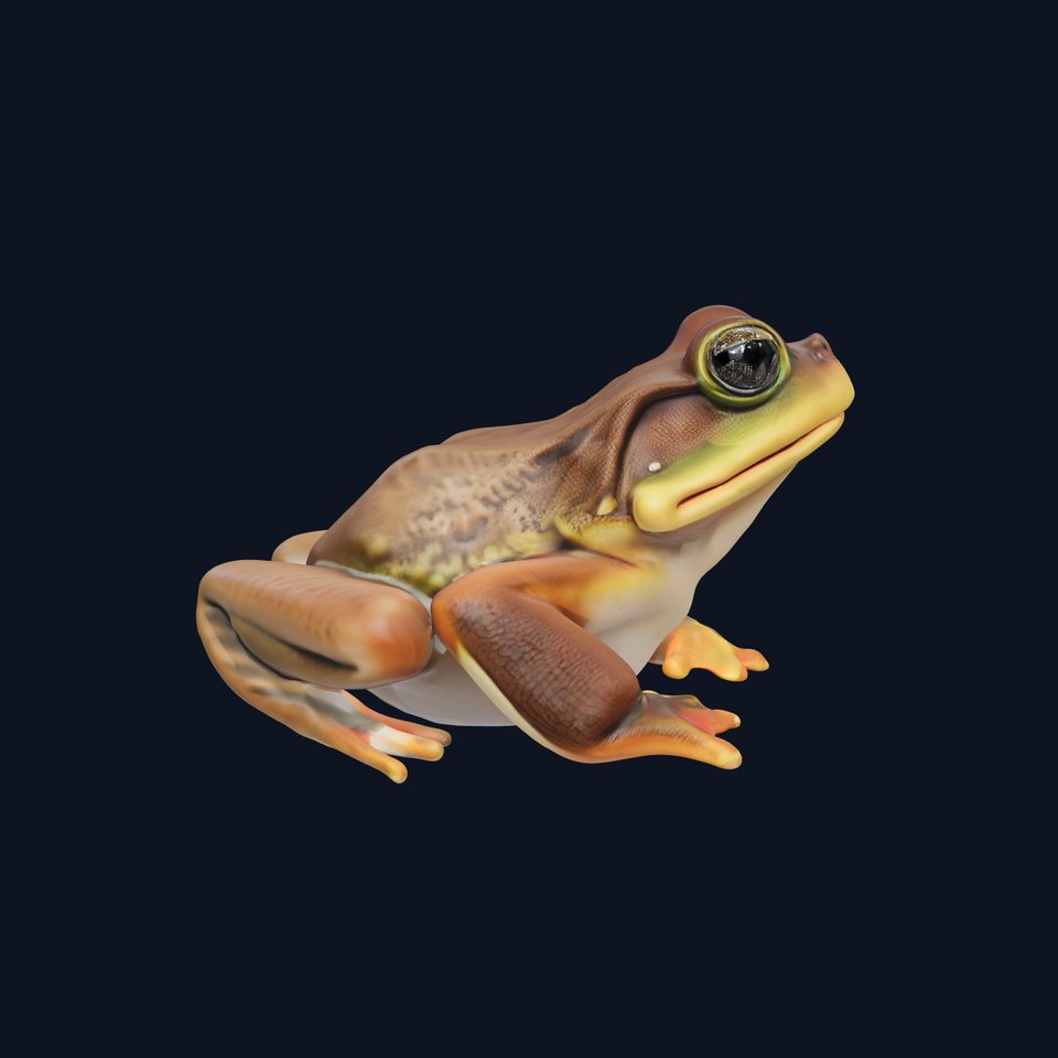 Realistic Frog Model Pack for Animation and Games